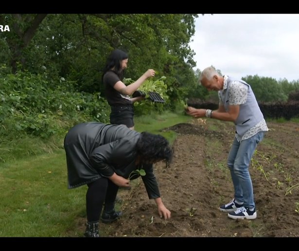 De TV van gisteren: Boerderij Van Dorst knaller bij nazomers debuut