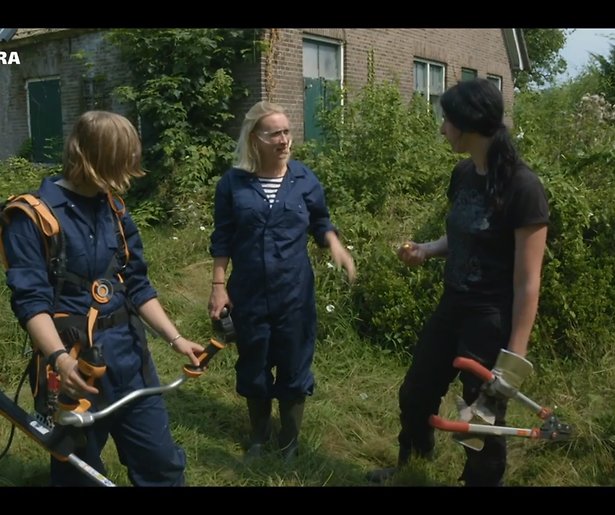 De TV van gisteren: Kijkcijferrecord voor Boerderij van Dorst dankzij maaiende Jinek