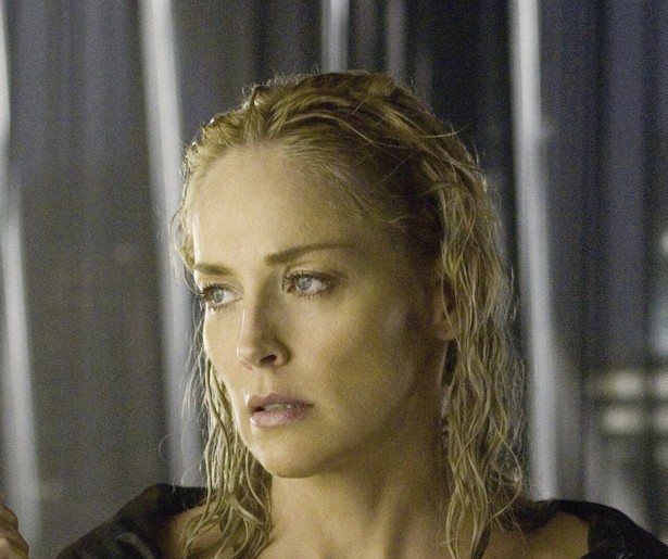 Het grote succes van Paul Verhoeven in Basic Instinct