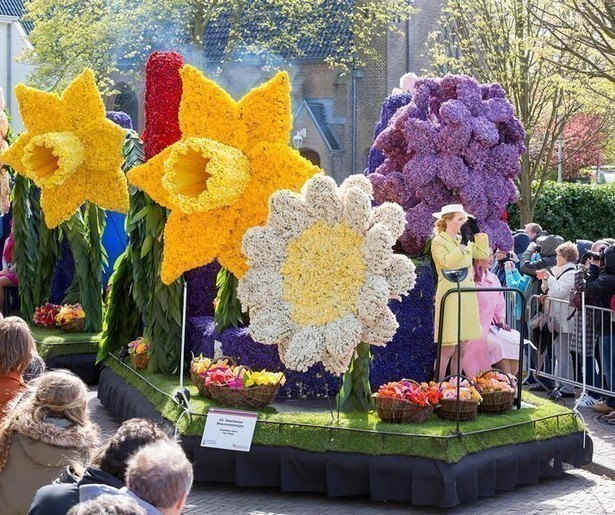 Terug in de tijd met tulpen uit de Bollenstreek