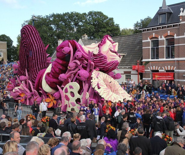 Geniet van de meest prachtige en kleurrijke creaties tijdens de Bloemencorso Zundert