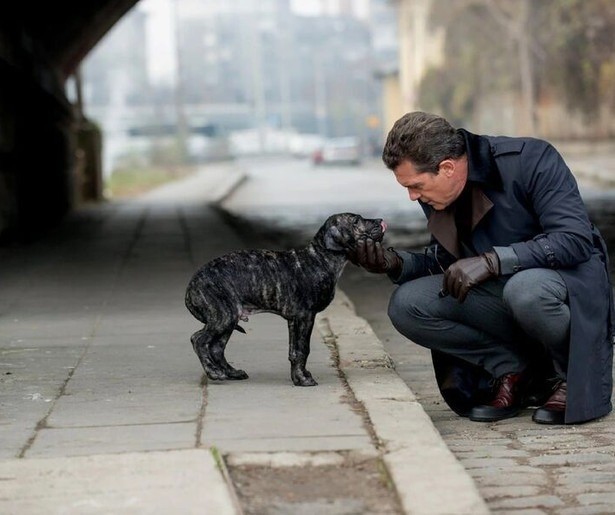 Kijk maar uit voor Antonio Banderas en zijn hond in Bullet Head