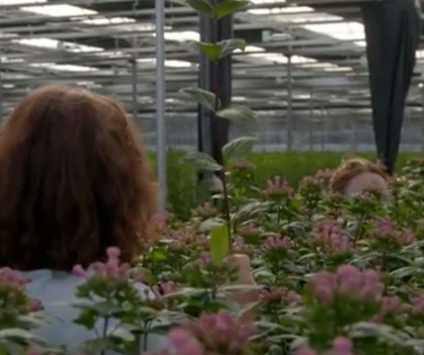 Videosnack: hoogtepunten eerste keuzemoment