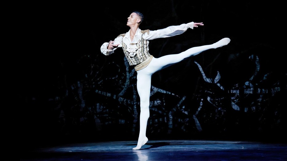 Still uit Pas de Deux