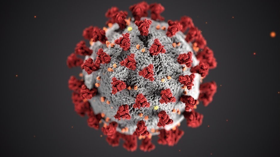 Pointer pakt onzin rond vaccins aan Pointer pakt onzin rond vaccins aan
