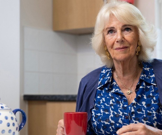 Koningin Camilla zet zich in om huiselijk geweld tegen te gaan in Camilla: Haar Strijd tegen Geweld