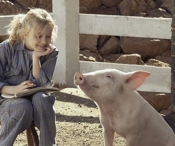 Wilbur het pratende biggetje in Charlotte's Web
