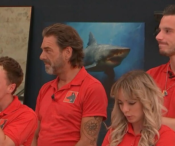 Welke twee deelnemers van De Bondgenoten mogen deze cyclus de finale spelen?