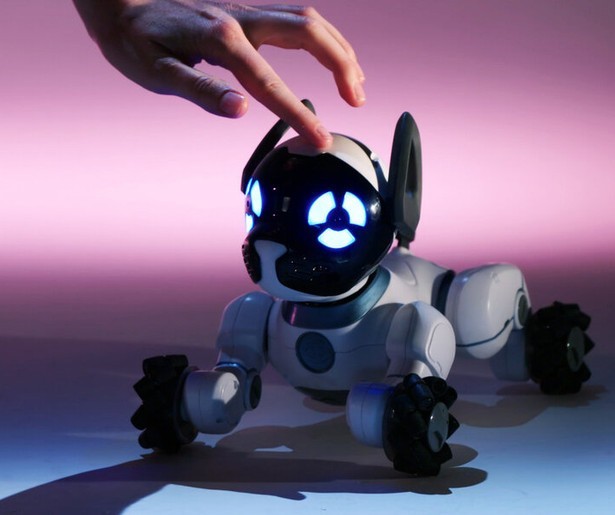 Close up vertelt over viervoeters als symbool