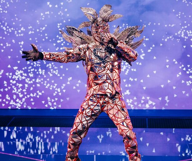 Pakken finalisten The Masked Singer onder de hamer