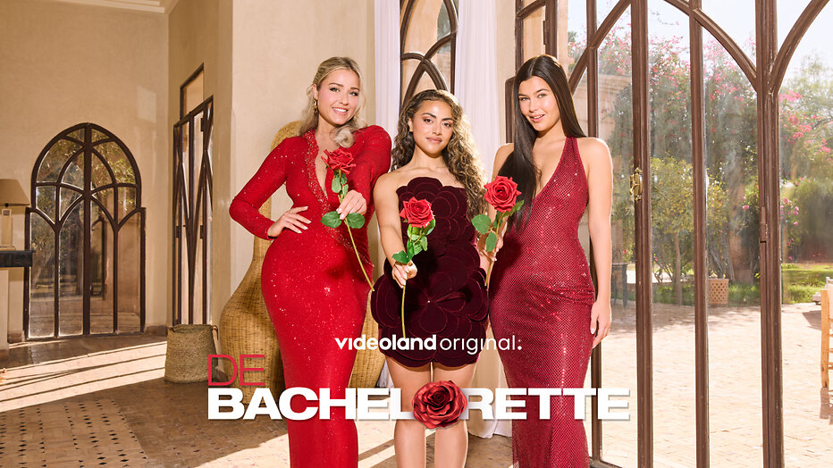 Beate, Kashin en Diva
