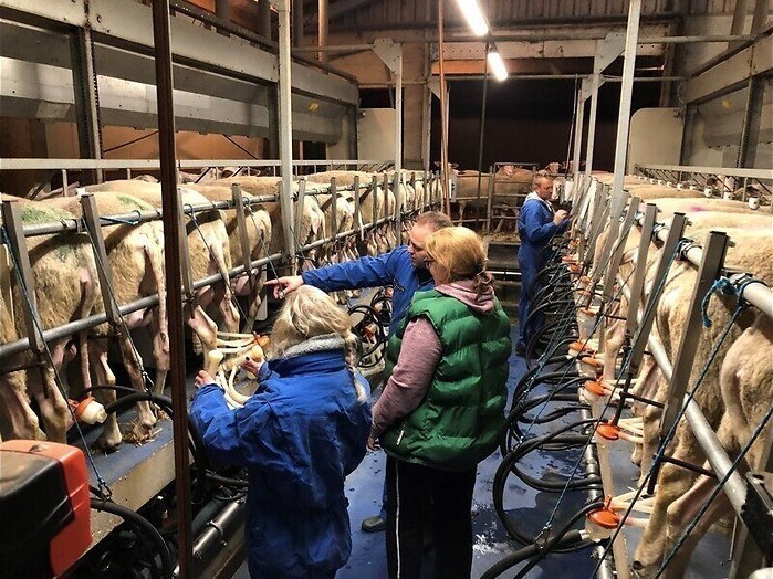 De Bauers de boer op