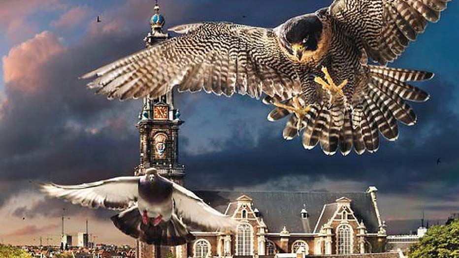 Dit moet je zien op Eerste kerstdag Dit moet je zien op Eerste kerstdag