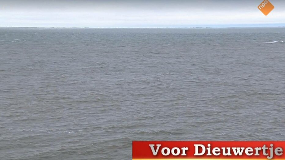 De ode aan Dieuwertje.