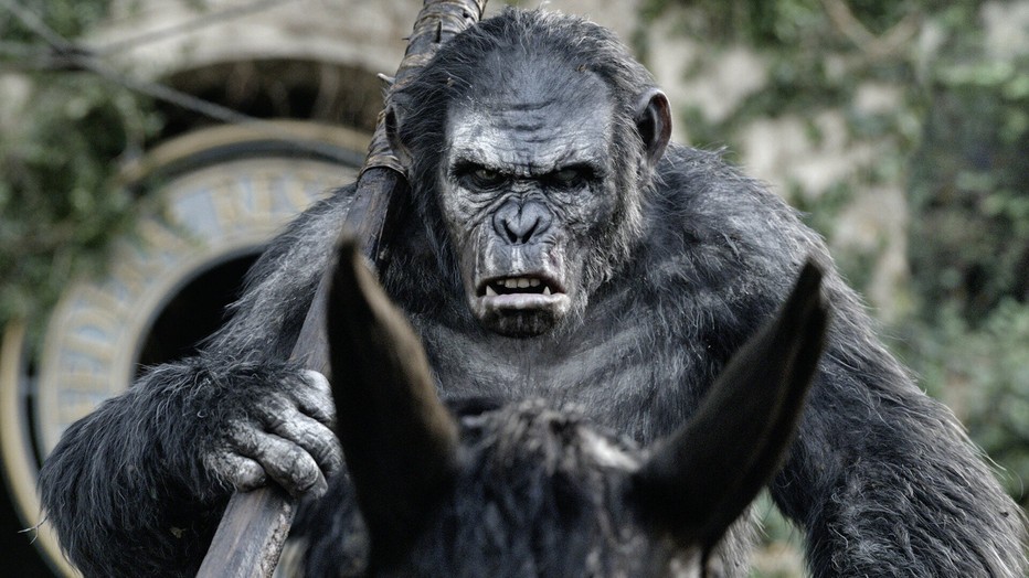 Dawn of the Planet of the Apes Dawn of the Planet of the Apes