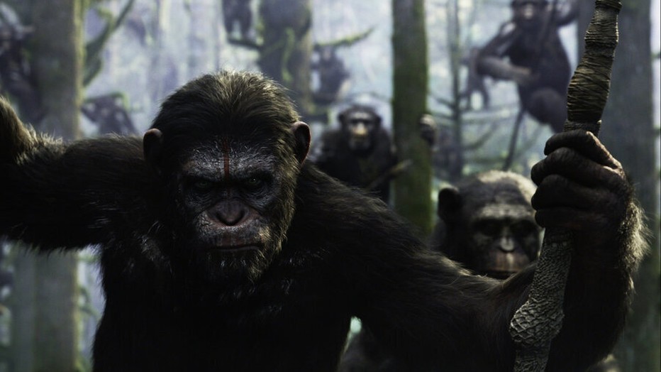 Dawn of the Planet of the Apes Dawn of the Planet of the Apes