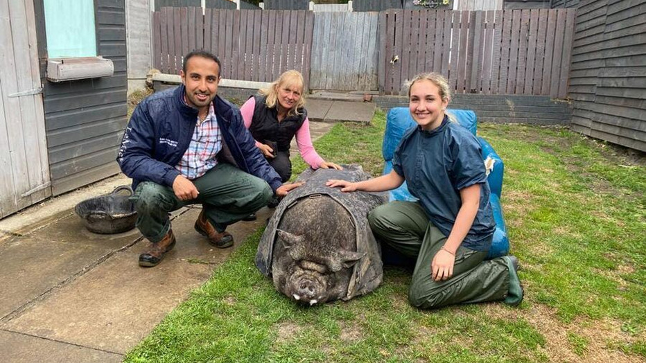 Dierenartsen uit De Dierenarts van Yorkshire