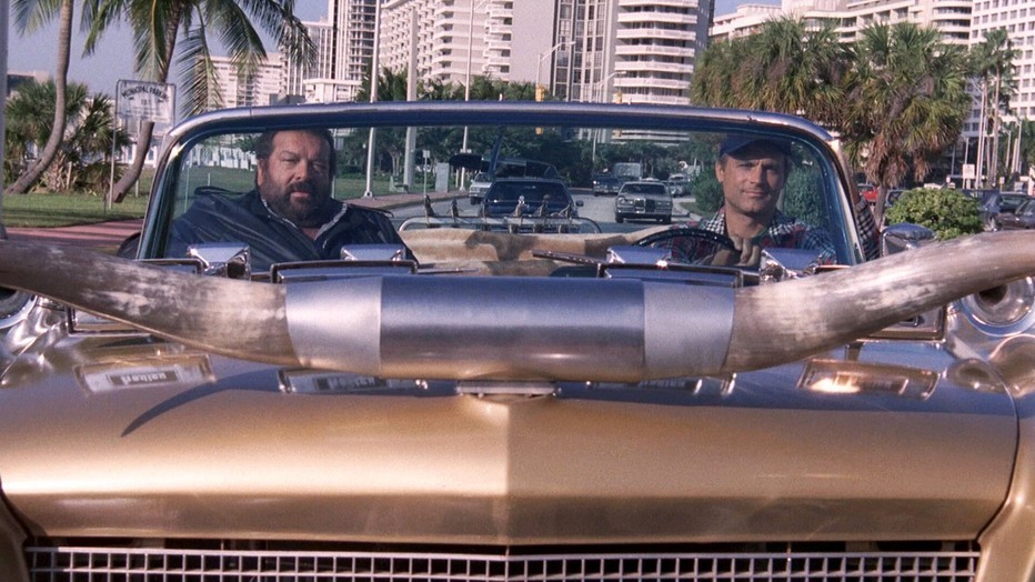 De vier vuisten slaan op hol