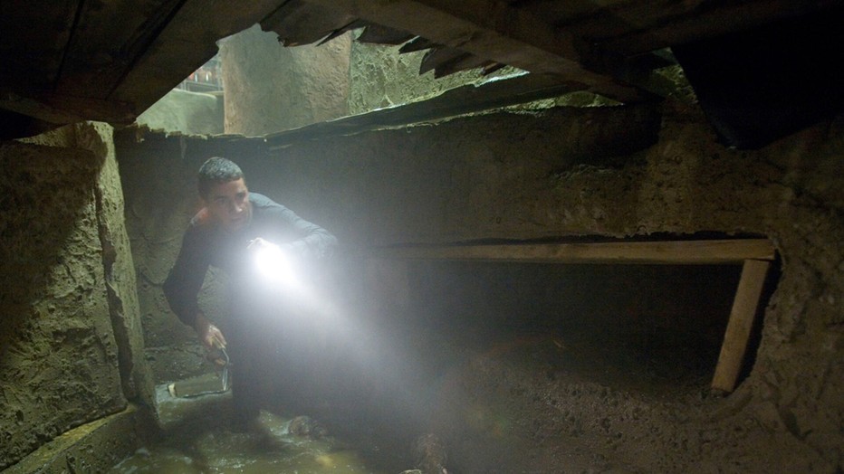 Shia LaBeouf in Disturbia