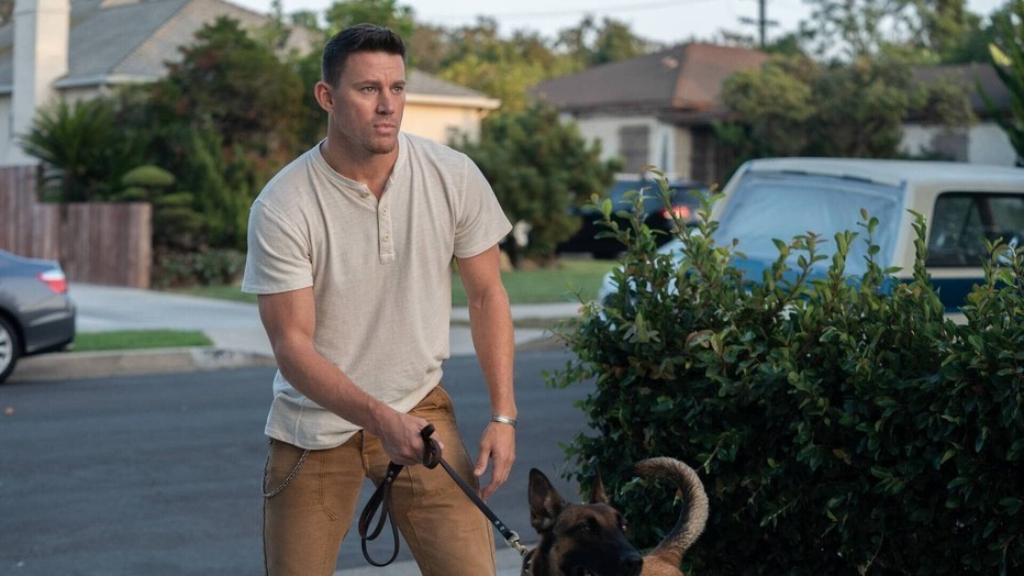 Channing Tatum in Dog