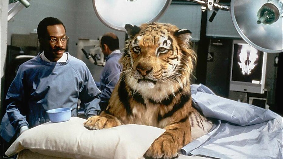 Eddie Murphy als Dr John Dolittle