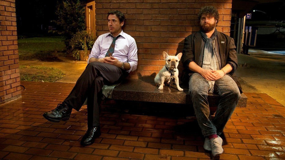 Due Date Due Date