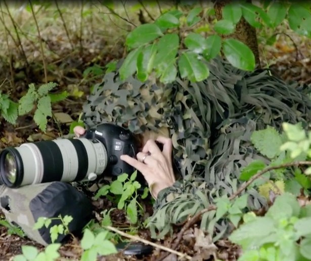 Verkleed als struik in de bosjes