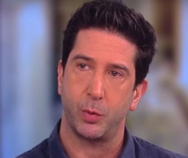 David Schwimmer houdt doorstart Friends tegen