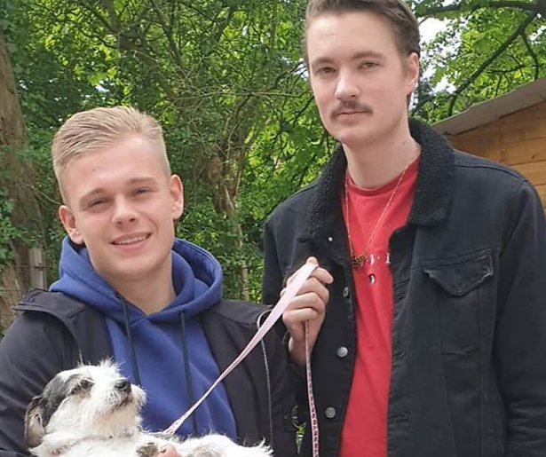 Dennis Schouten ondergaat haartransplantatie