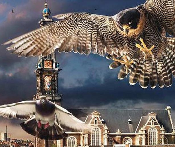 Dit moet je zien op Eerste kerstdag