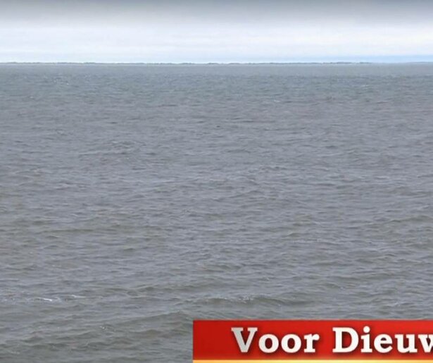 Collega's onder de indruk van ode aan Dieuwertje