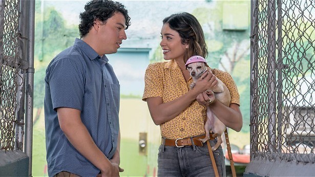 Honden helpen in de liefde