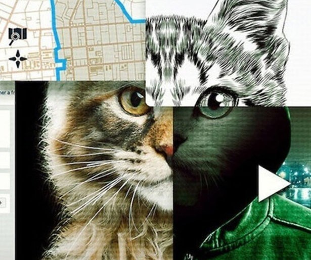Van de documentaire Don't F**k With Cats op Netflix valt je mond open