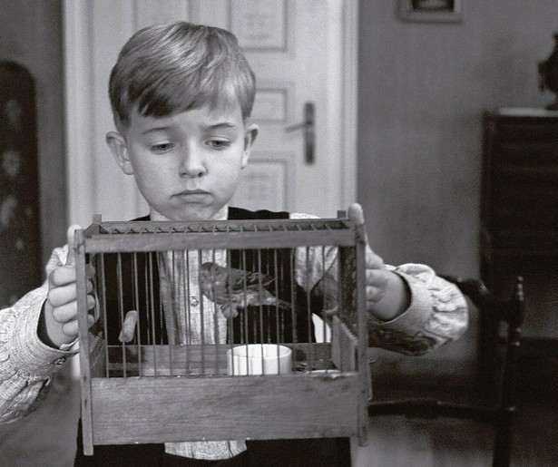 De kinderen van Stetten