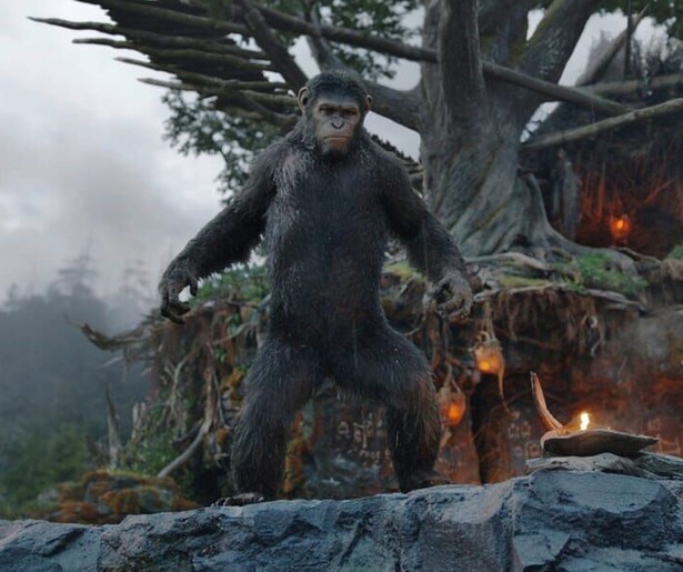 De apen staan lijnrecht tegenover de mensen in Dawn of the Planet of the Apes