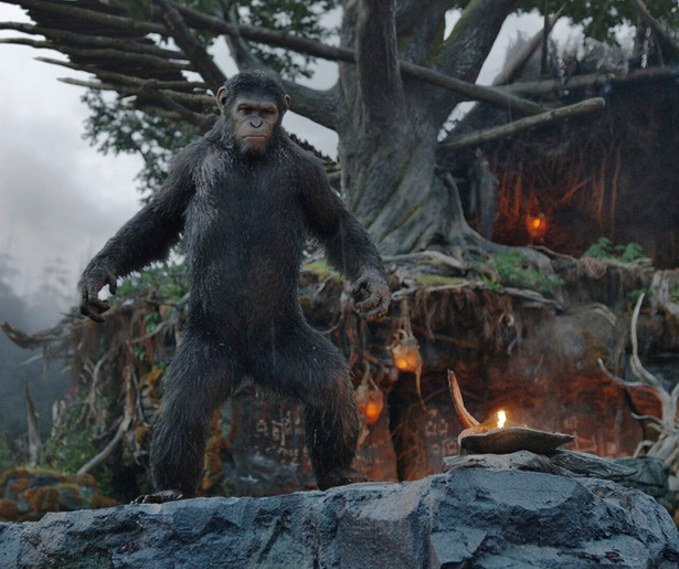 Andy Serkis ontkent opnieuw een strijd in Dawn of the Planet of the Apes