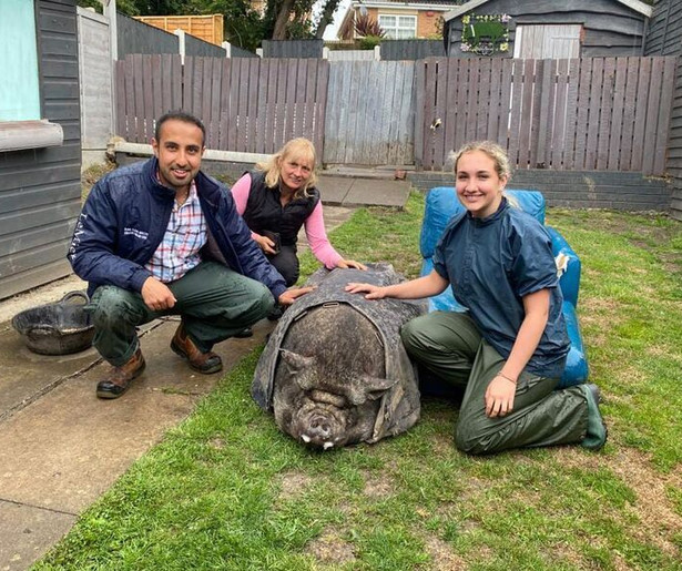 De Dierenarts van Yorkshire maakt zijn opwachting bij MAX op NPO 2