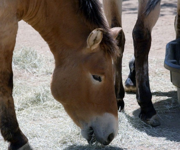 Special van De Kennis van Nu over genetische wonderen