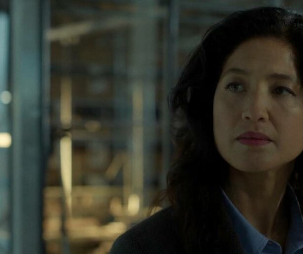 De Ring duikt plots op voor het oog van Delilah Warcup-van Eyck