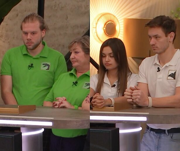 De Slangen en de Gieren vechten in De Bondgenoten voor een plek in de volgende cyclus 