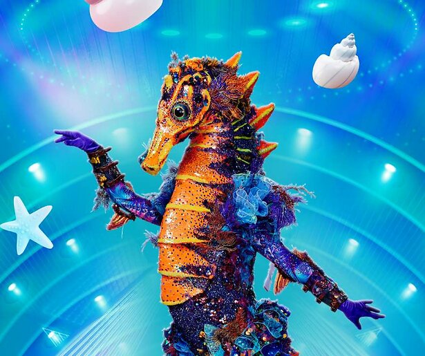Wie is De Zeepaard in The Masked Singer 2024?