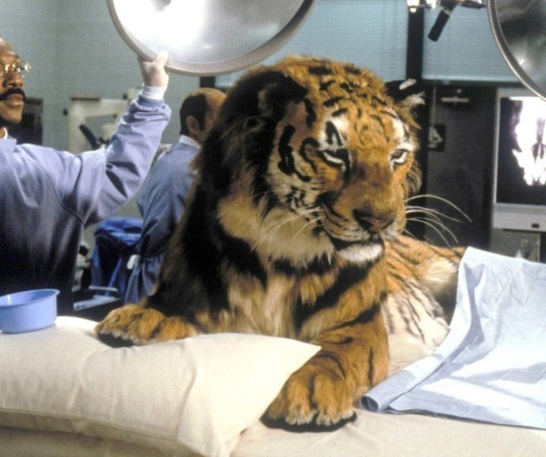 De grappige Eddie Murphy praat met dieren in de film Doctor Dolittle