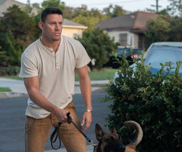 Channing Tatum krijgt een bijzondere band met een hond in Dog