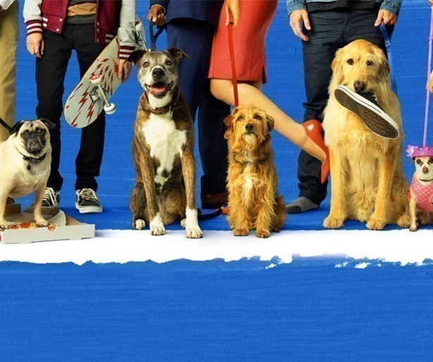 Honden helpen in de liefde in hartverwarmende film Dog Days
