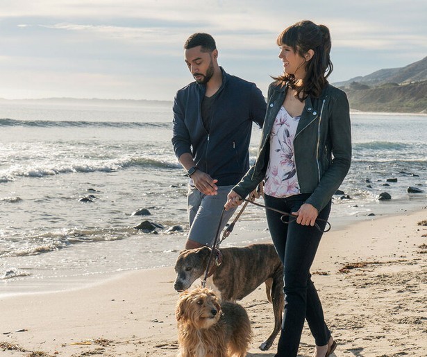 Honden helpen in de liefde in hartverwarmende film Dog Days