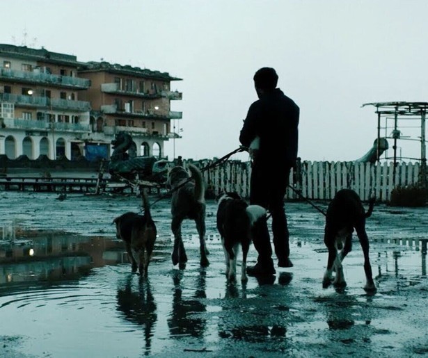 De wraak van de hondentrimmer