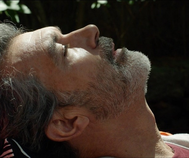 De geest van Antonio Banderas laat het af en toe afweten in Dolor y Gloria