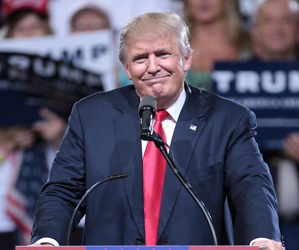 Bestseller over Donald Trump wordt tv-serie