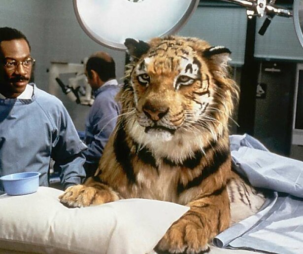 Eddie Murphy praat met dieren in Doctor Dolittle