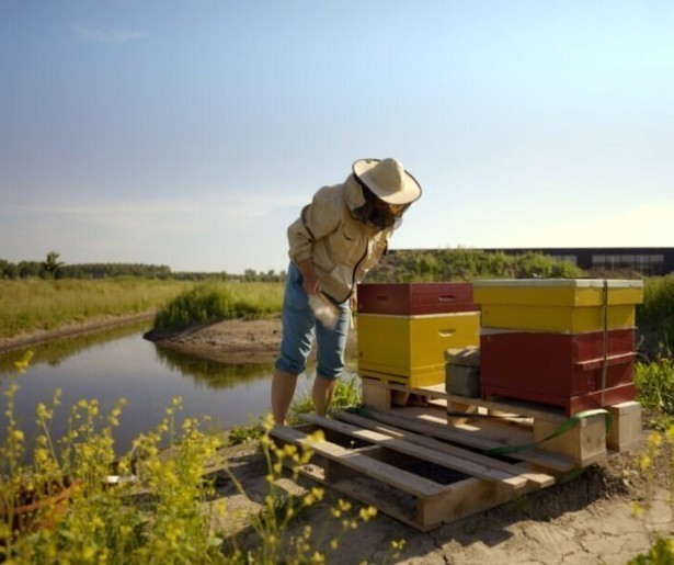 De vijfdelige documentaireserie Droomdorp gaat van start op NPO 2